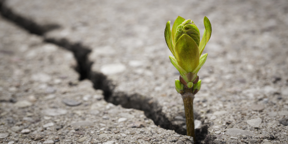 Sustainable Hiring Practices (Video)