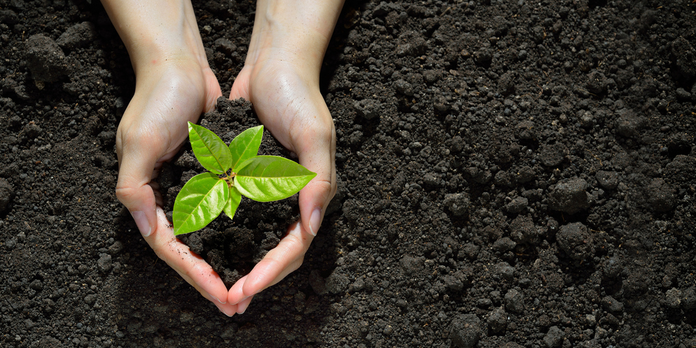 Three Behaviours of Leaders Who Are Embracing Change In 2025